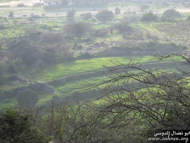 البرونزية