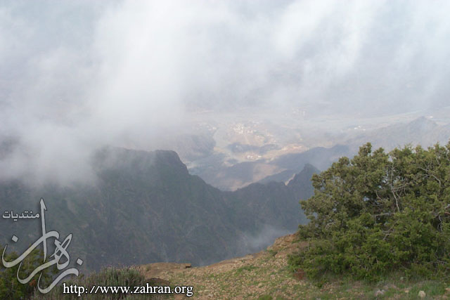 البرونزية